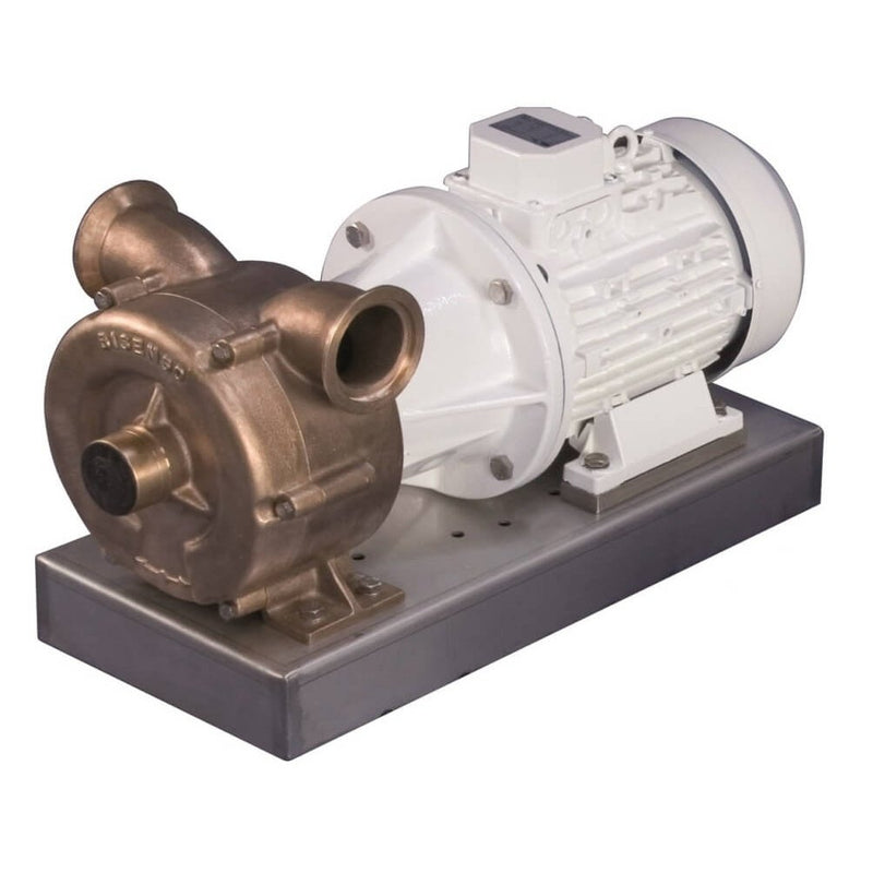 Cem 070 Self Priming Bronze Electric Pump 6781